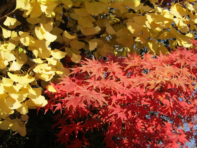 サピエンス全史の話