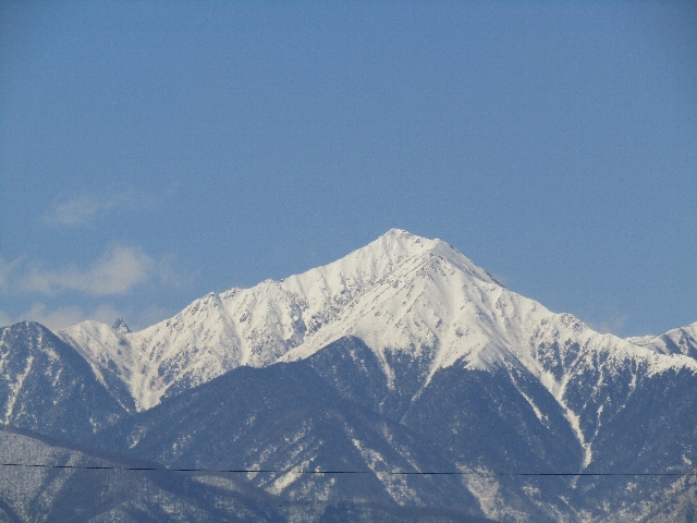 ファストフード店に行ってみよう