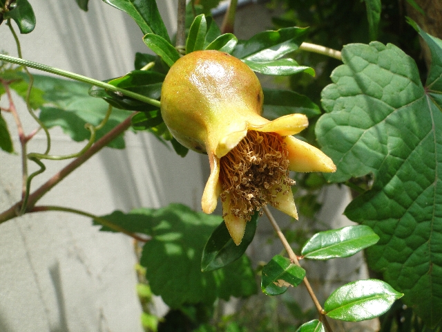 研修へ行ってきました。